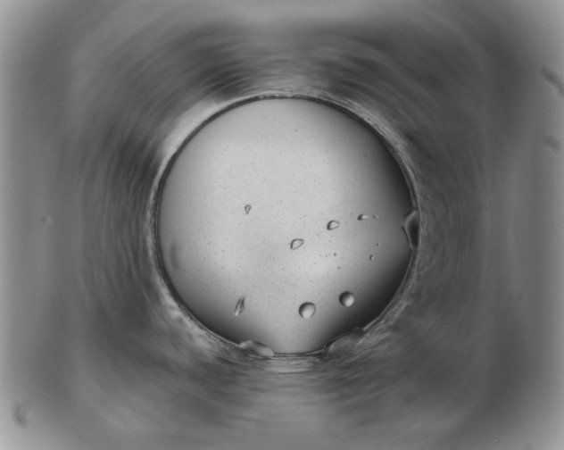 X0000103151440200809051627