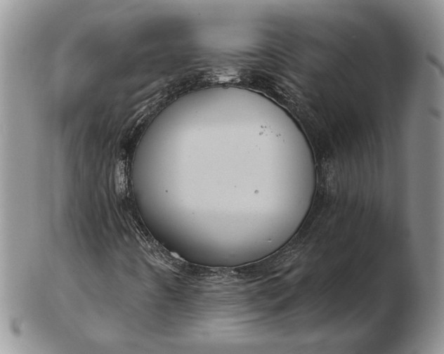 X0000103151442200809051626