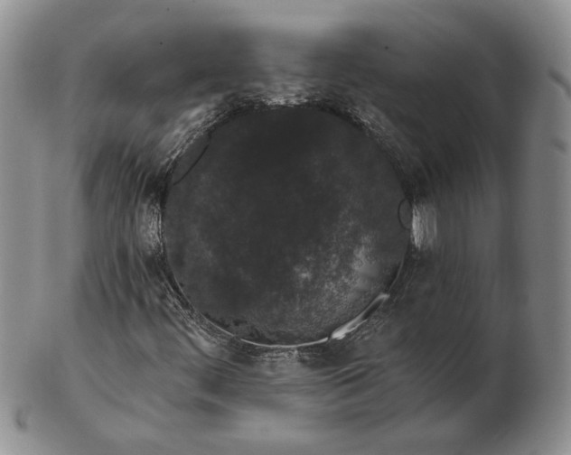 X0000103151444200809051626