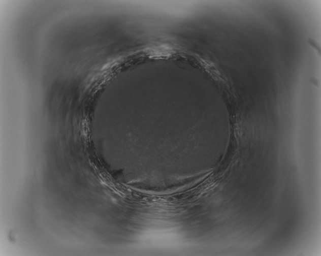 X0000103151445200809051626