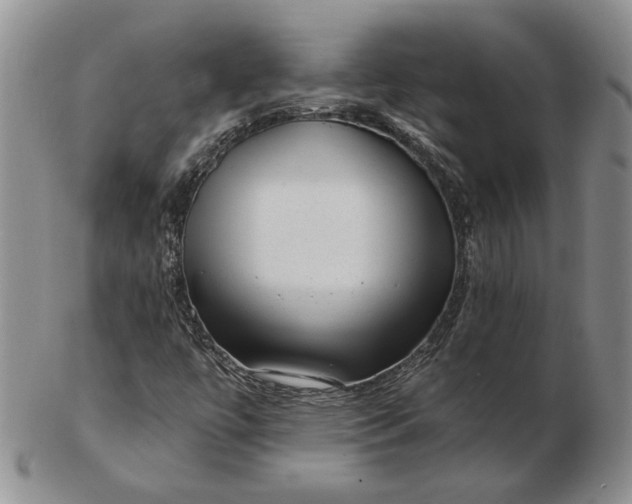 X0000103151447200809051626