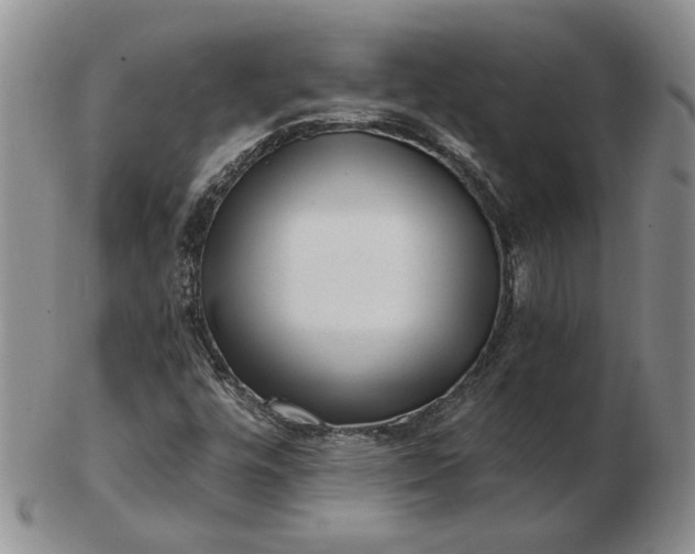 X0000103151448200809051626