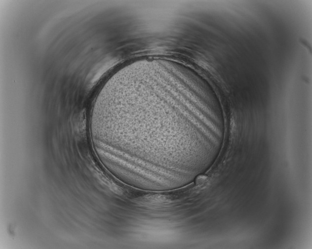 X0000103151450200809051626