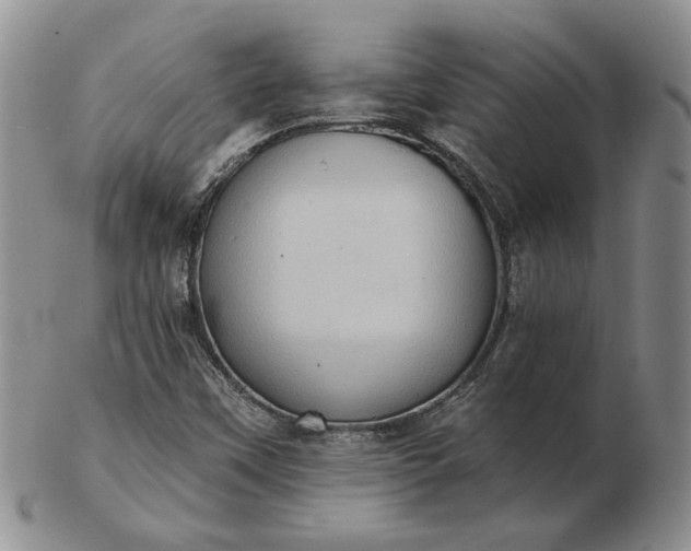 X0000103151451200809051626