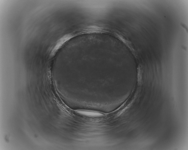 X0000103151453200809051626