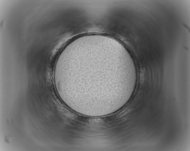 X0000103151454200809051626