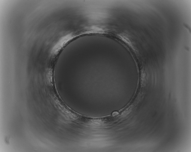 X0000103151455200809051626