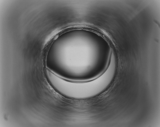 X0000103151456200809051626