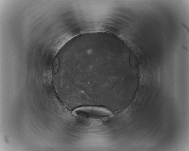 X0000103151457200809051626