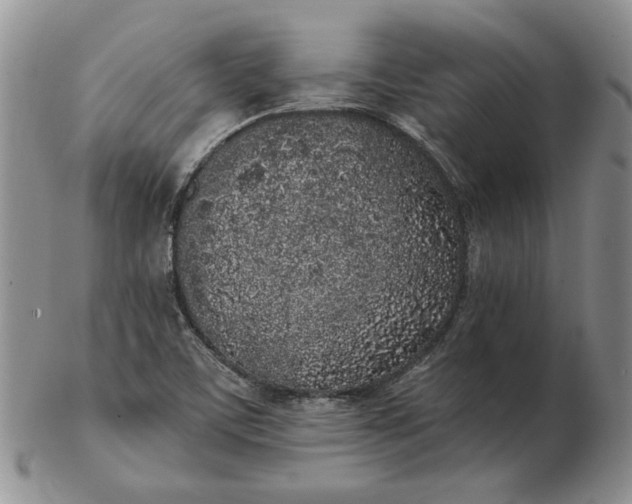 X0000103151459200809051626