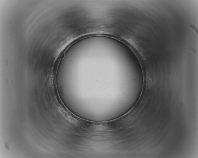 X0000103151460200809051626