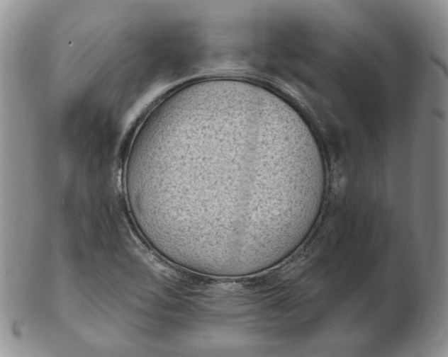 X0000103151462200809051626