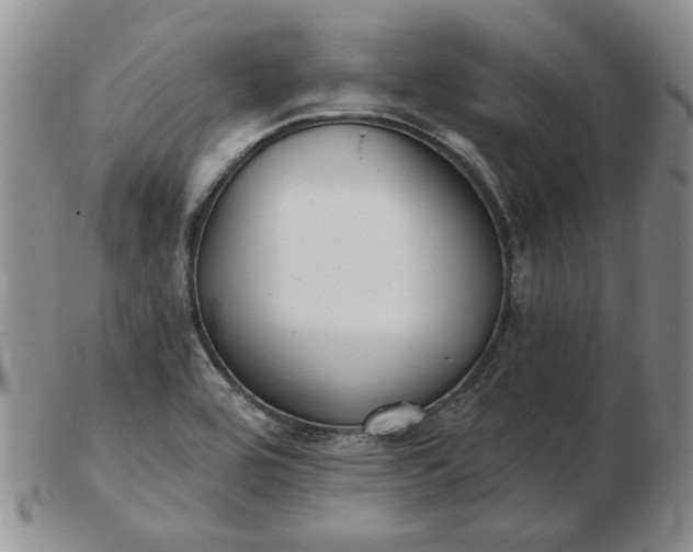 X0000103151464200809051626