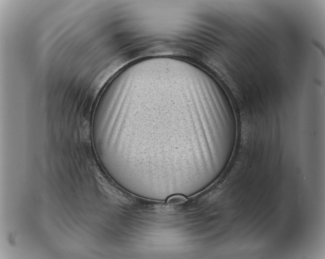 X0000103151465200809051626