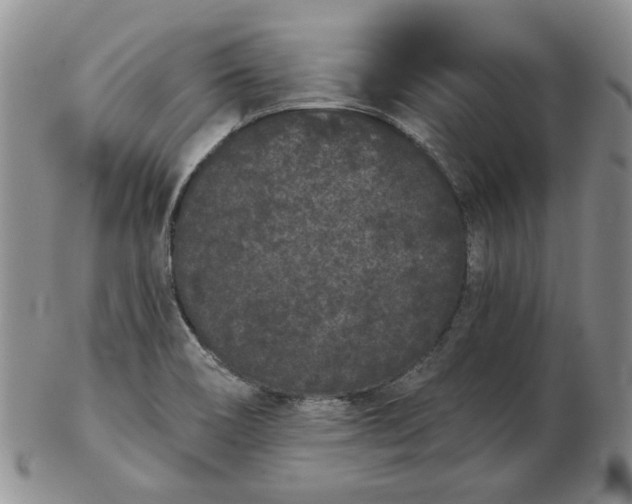 X0000103151466200809051626