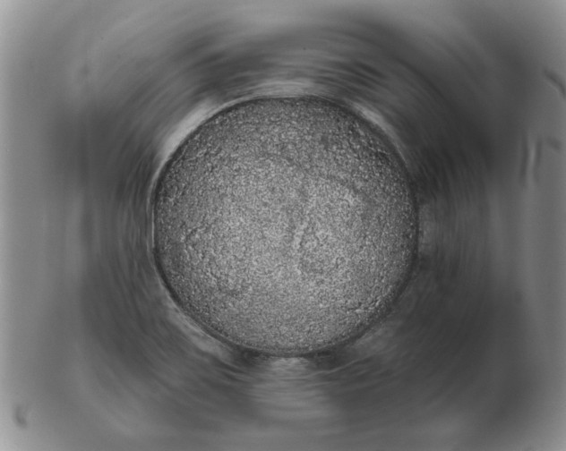 X0000103151467200809051626