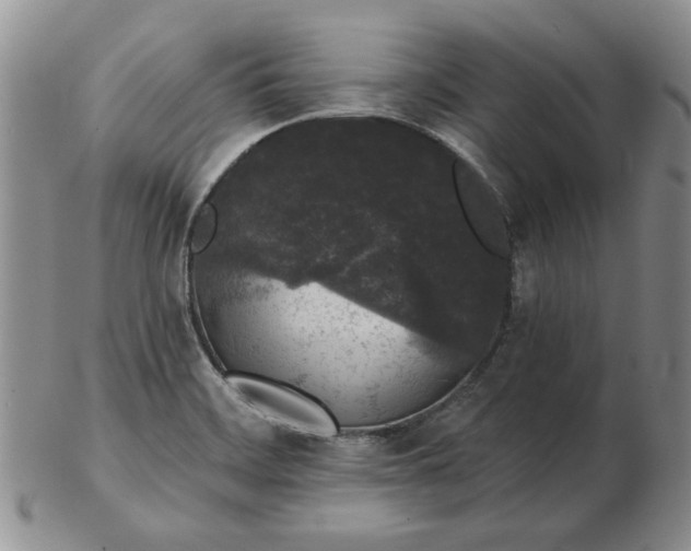 X0000103151468200809051626