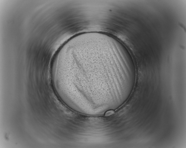 X0000103151469200809051626