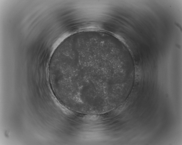 X0000103151474200809051626