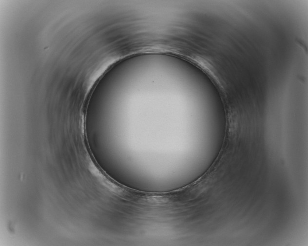 X0000103151476200809051626