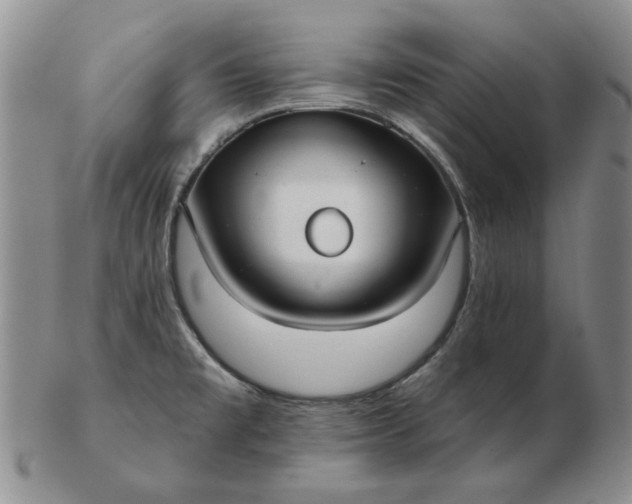 X0000103151477200809051626