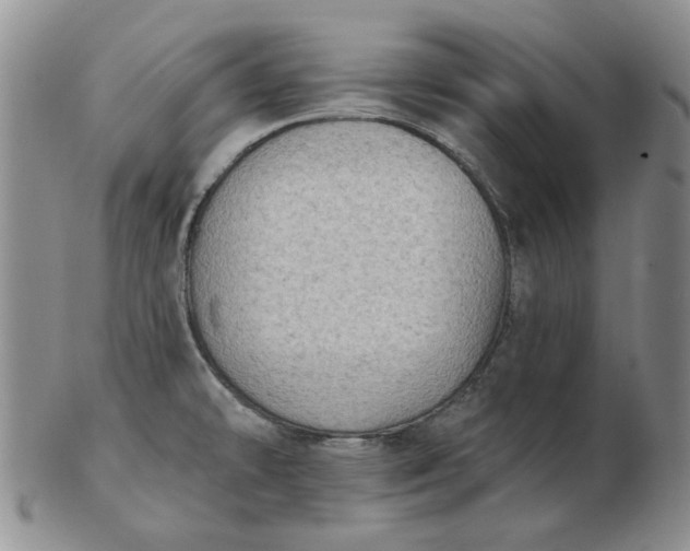 X0000103151478200809051626