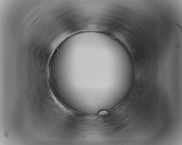 X0000103151479200809051626