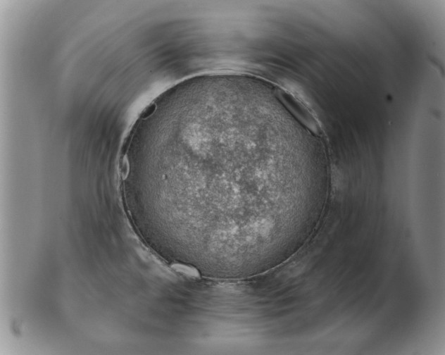 X0000103151480200809051626