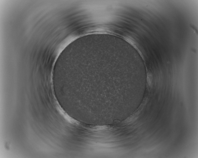 X0000103151482200809051626