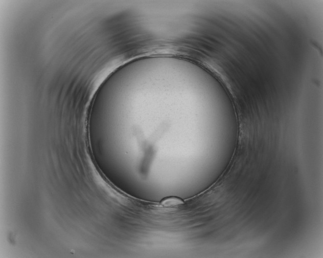 X0000103151483200809051626