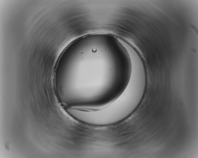 X0000103151484200809051626