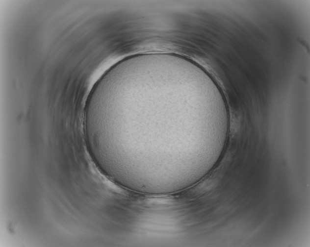 X0000103151486200809051626