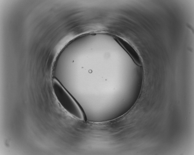 X0000103151488200809051626