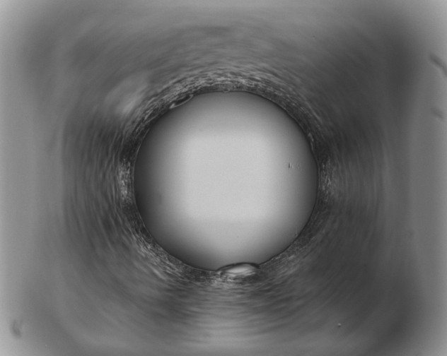 X0000103151490200809051625