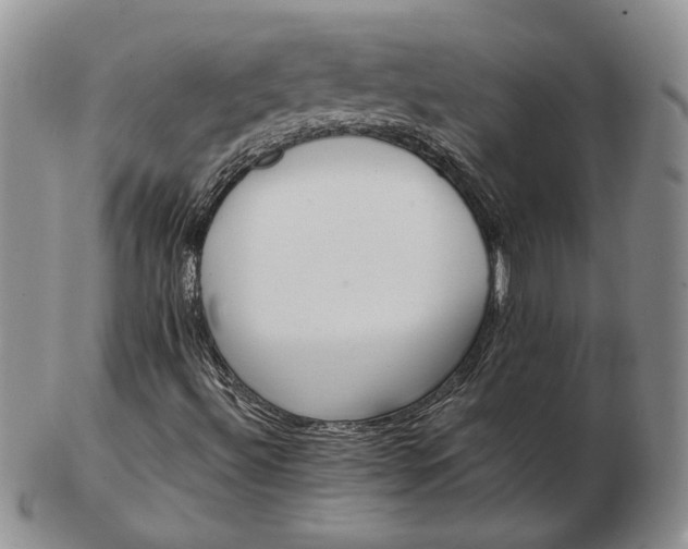 X0000103151492200809051625