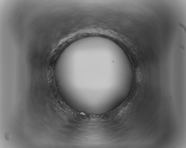 X0000103151494200809051625