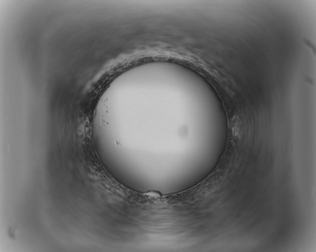 X0000103151495200809051625