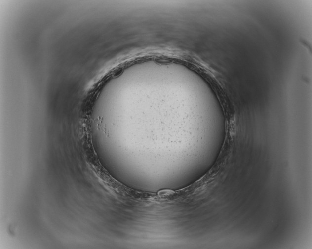 X0000103151496200809051625