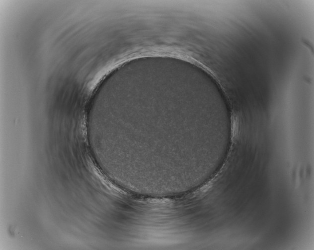 X0000103151498200809051625