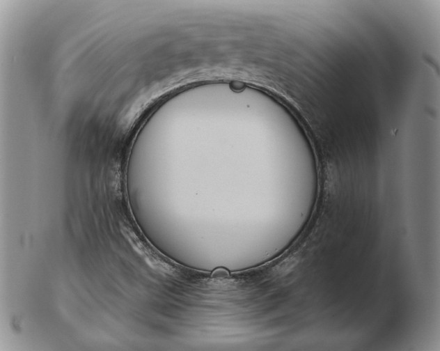 X0000103151499200809051625