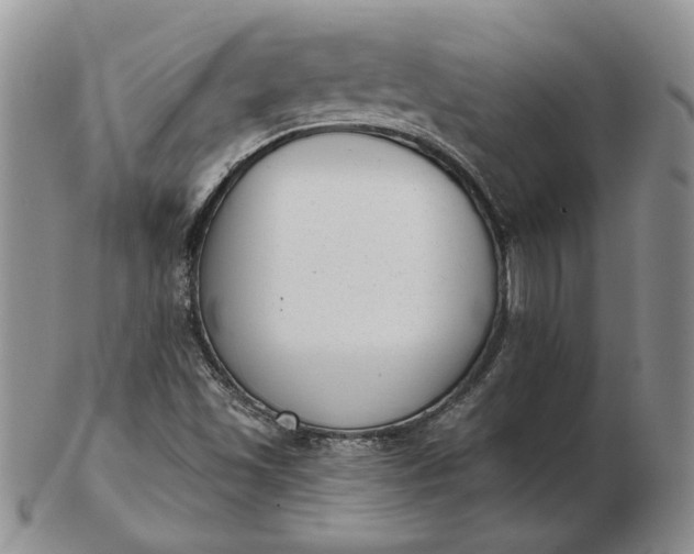 X0000103151501200809051625