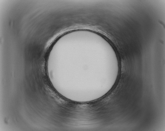 X0000103151502200809051625