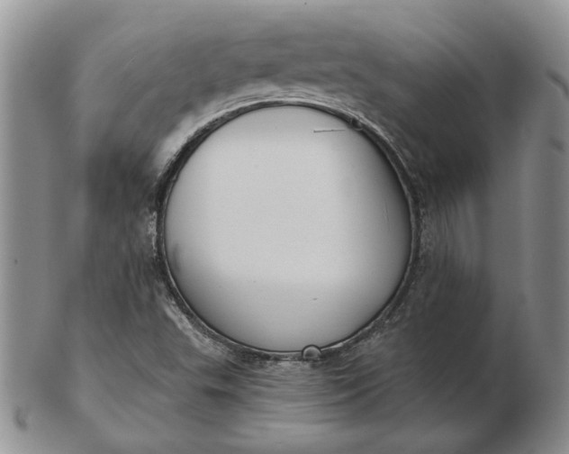 X0000103151503200809051625