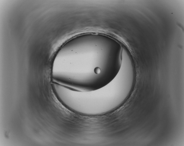 X0000103151504200809051625