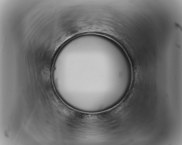 X0000103151505200809051625