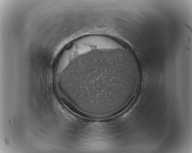 X0000103151506200809051625