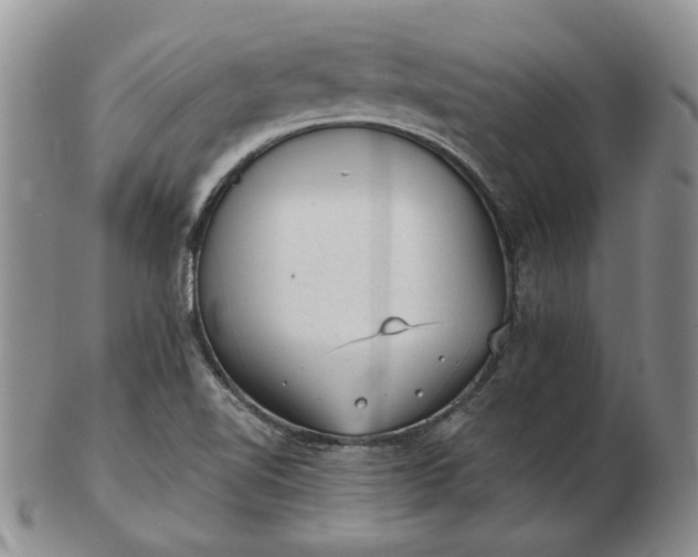 X0000103151510200809051625