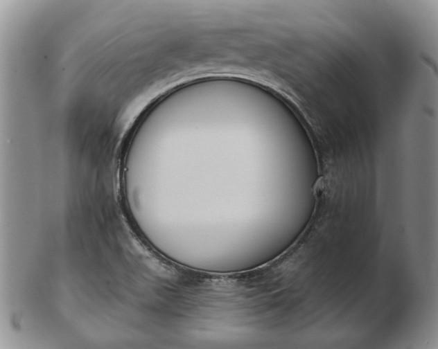 X0000103151511200809051625