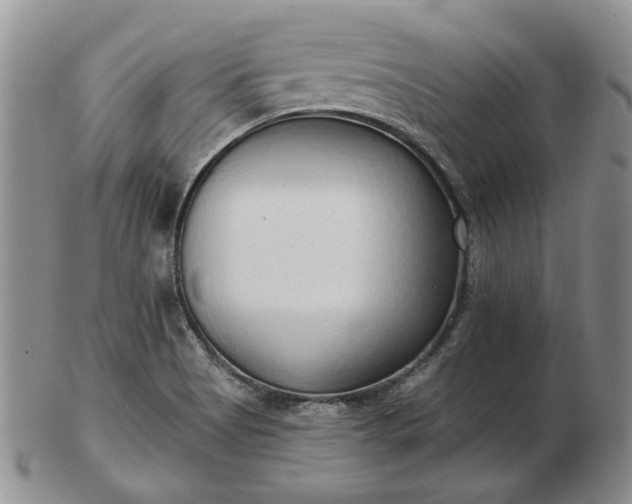 X0000103151513200809051625