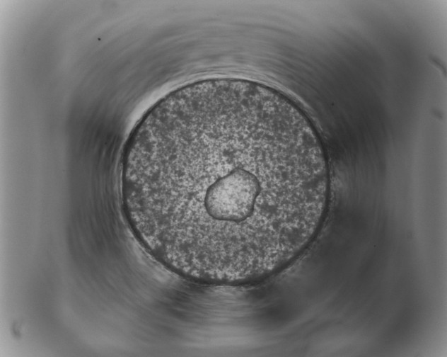 X0000103151514200809051625